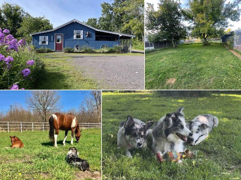 Sturgeon River Kennels