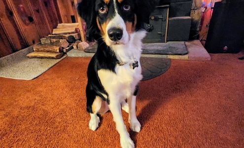 Makayla's Paw Spa 319 Maple St, Kalkaska Michigan 49646