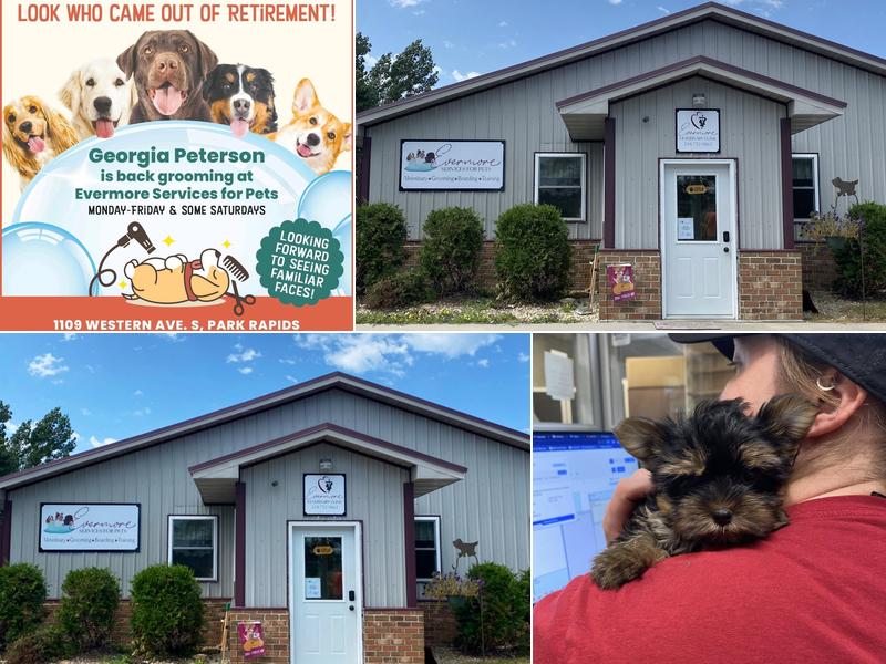 Evermore Services for Pets