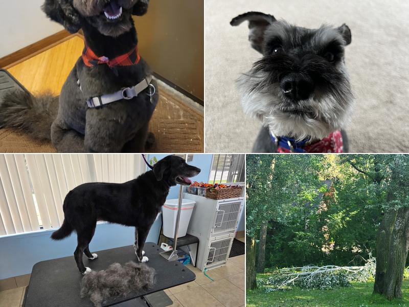 Christa's Paw Spa LLC