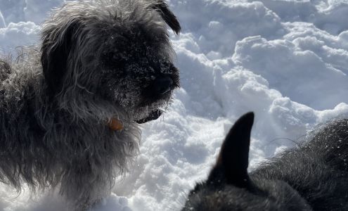 Luxury Unleashed 628 8th St, Havre Montana 59501