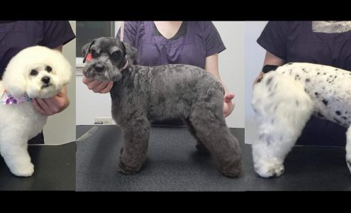 Petite Paw Grooming 3182 US-2, West Danville Vermont 05873