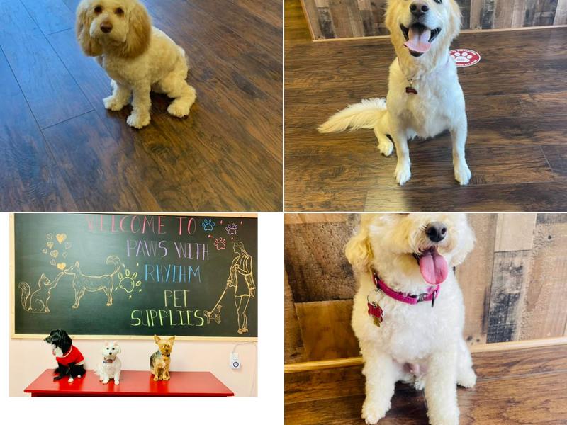 Paws With Rhythm Pet Supplies & Grooming