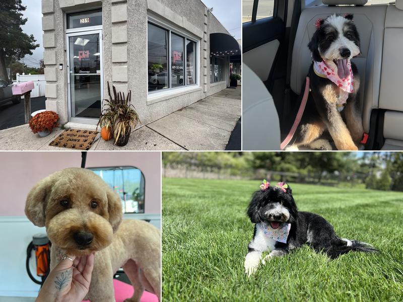 Pixel Pets Pet Salon