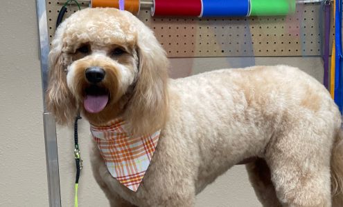 Paw & Order Grooming and Boarding 916 Houston St, Levelland Texas 79336