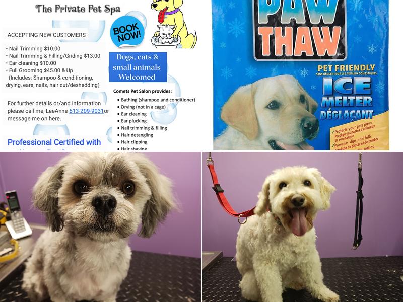 Comet's Pet Salon • Private Pet Spa