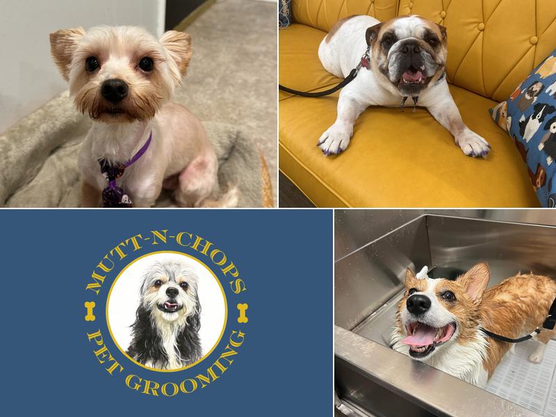 Mutt-N-Chops