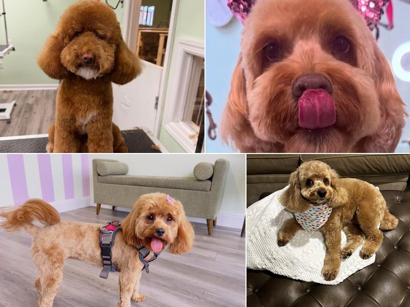 Bones Bath And Beyond Woodbury