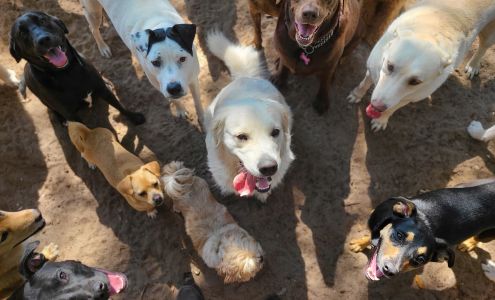 Hound Haven by the Bay Doggie Daycare & Boarding