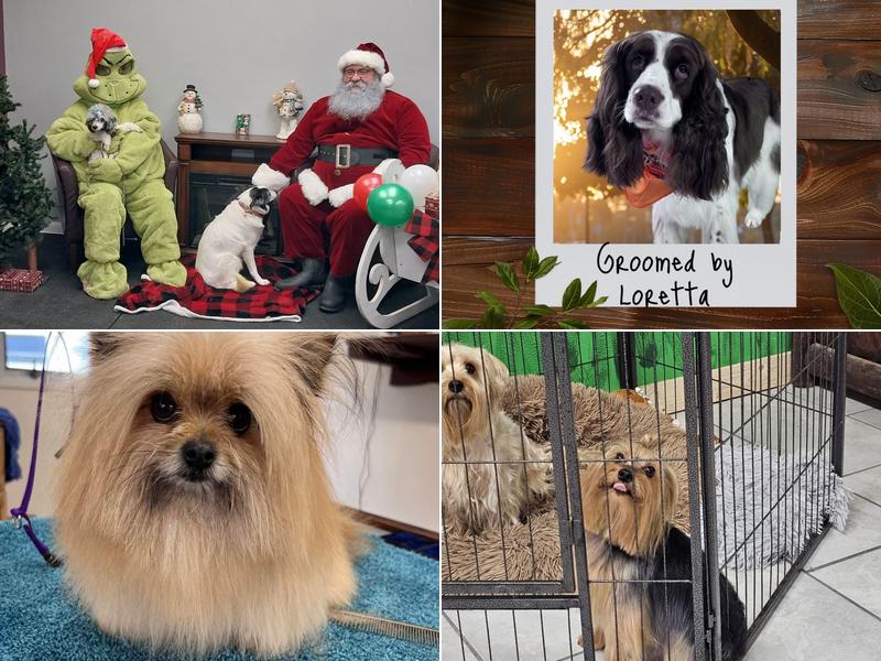 Loretta's Paws and Claws Spa