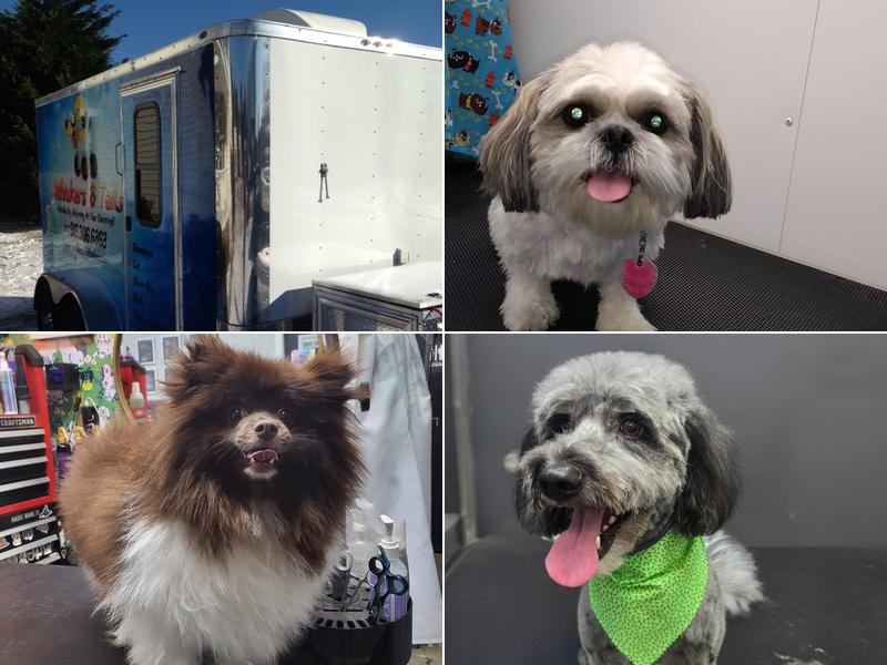 Whiskers and Tails Mobile Dog Grooming