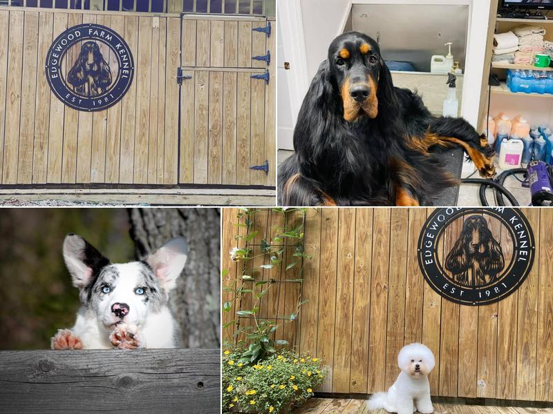 Edgewood Farm Kennel