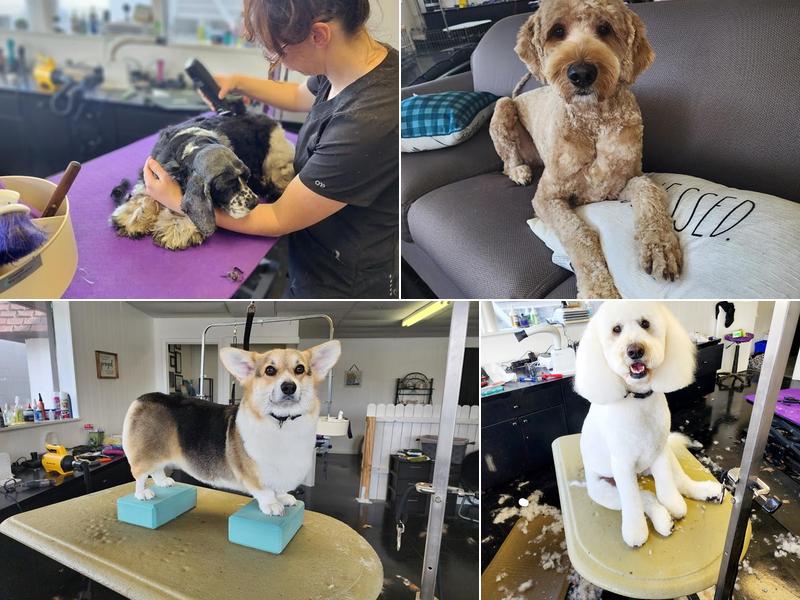 High Country Grooming