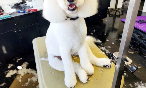 High Country Grooming 9250 US-421, Zionville North Carolina 28698