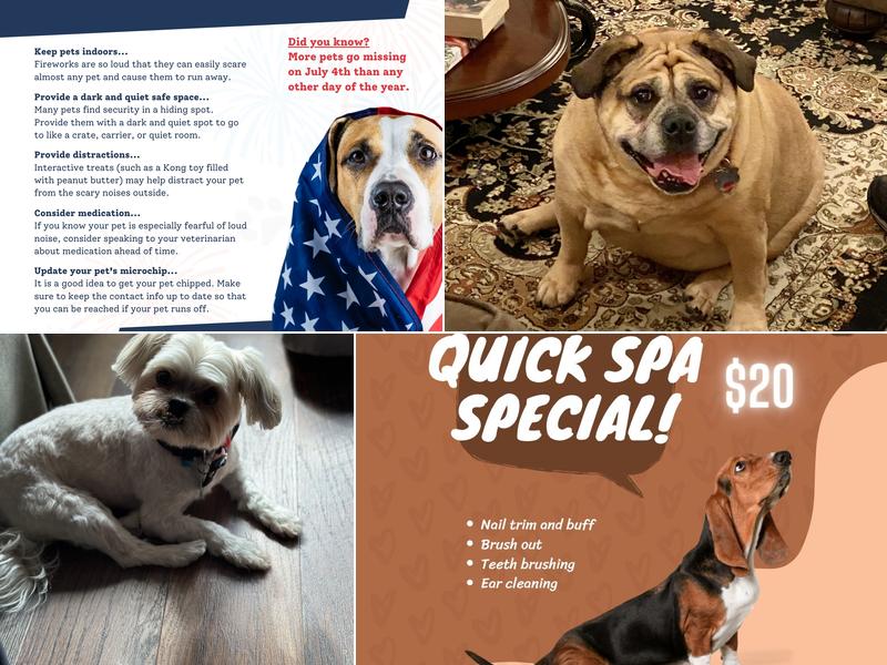 Fido & Felix Pet Parlor