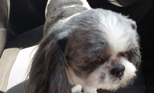 Dog Magic 720 W Broadway St, Ardmore Oklahoma 73401