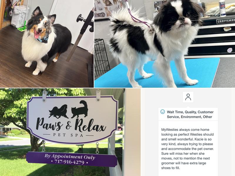 Paws & Relax Pet Spa