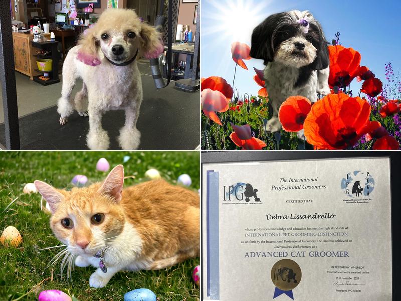 Punkin & Pals Pet Styles, LLC