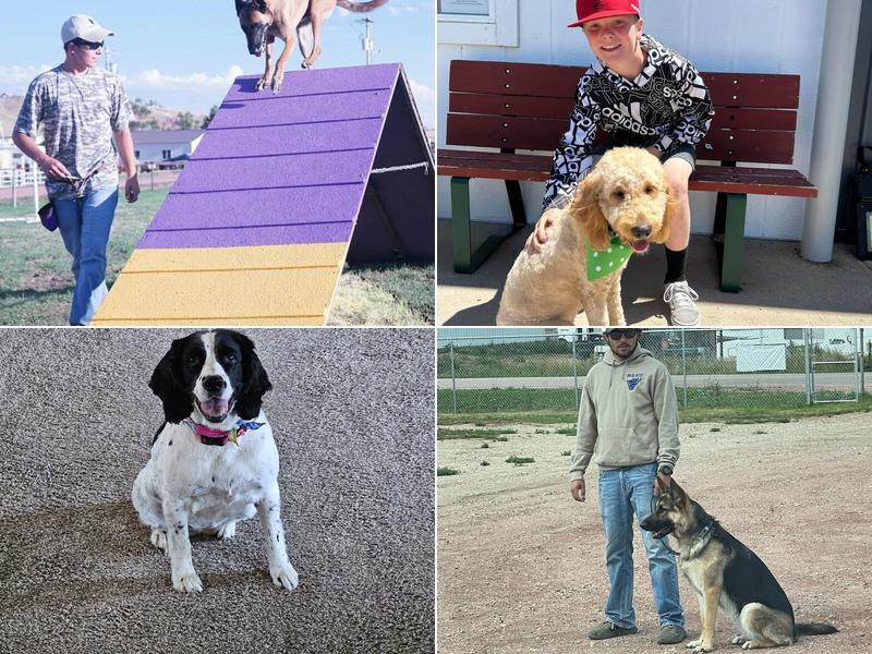 B3 K9 Training & Boarding