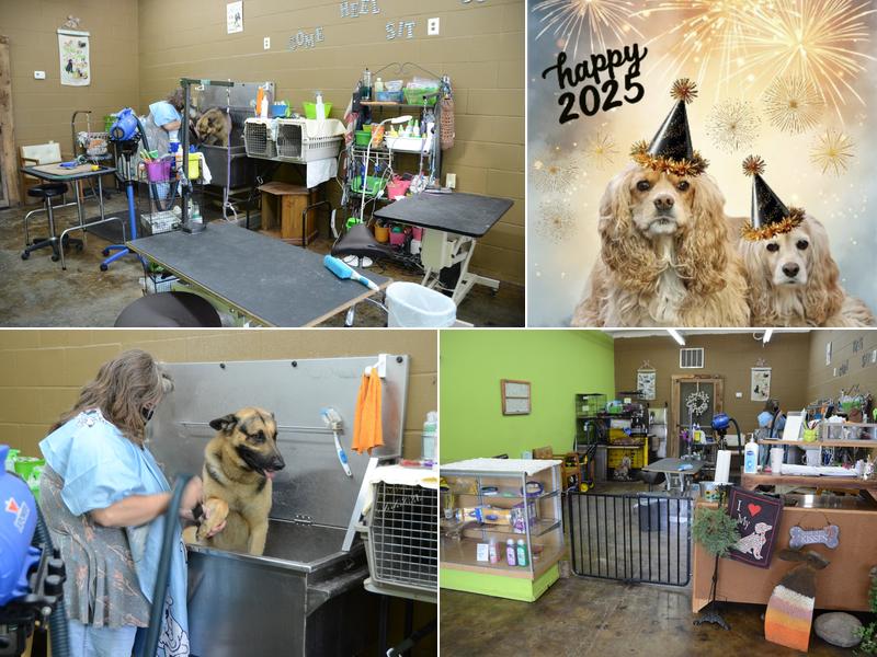 Down Home Pet Grooming