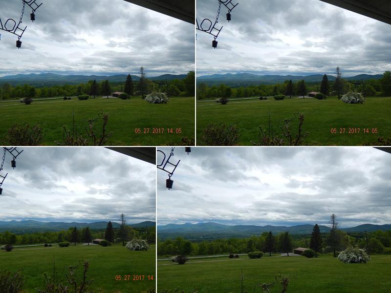 Lesley Smith | Coldwell Banker Prime Properties