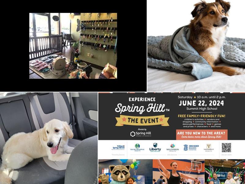 Pepe Le Pooch Grooming salon