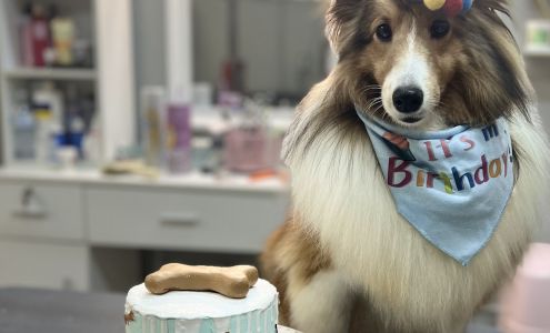 Barking Beauties Pet Grooming 2600 Padre Blvd suite I, South Padre Island Texas 78597