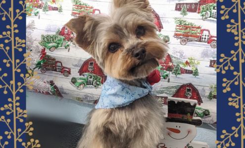 Myra's Grooming Salon 1801 E 49th Ln, Fort Stockton Texas 79735