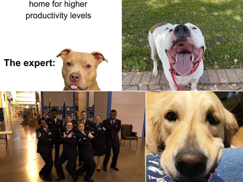 Pearland Canine Resource Center