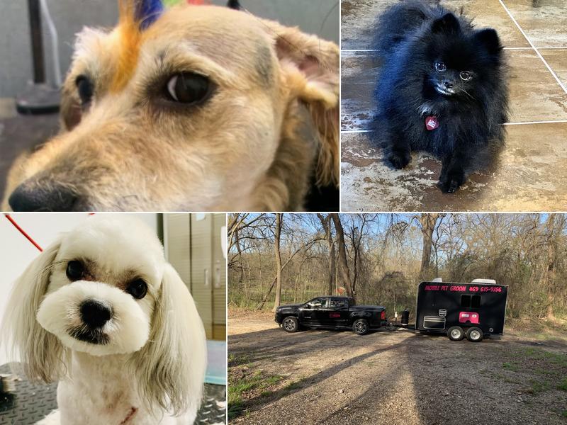 Bakers Acres Barn on Wheels