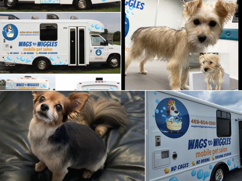 Wags To Wiggles Mobile Pet Salon