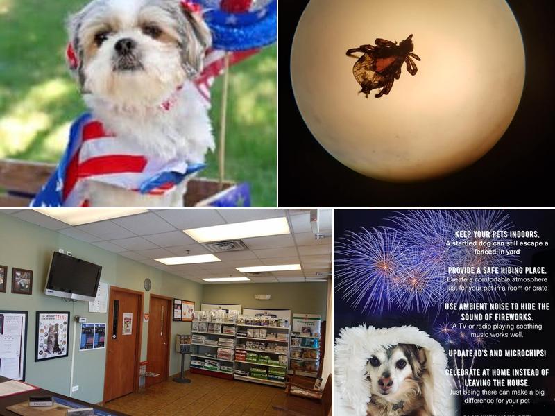 Elgin Veterinary Care Group