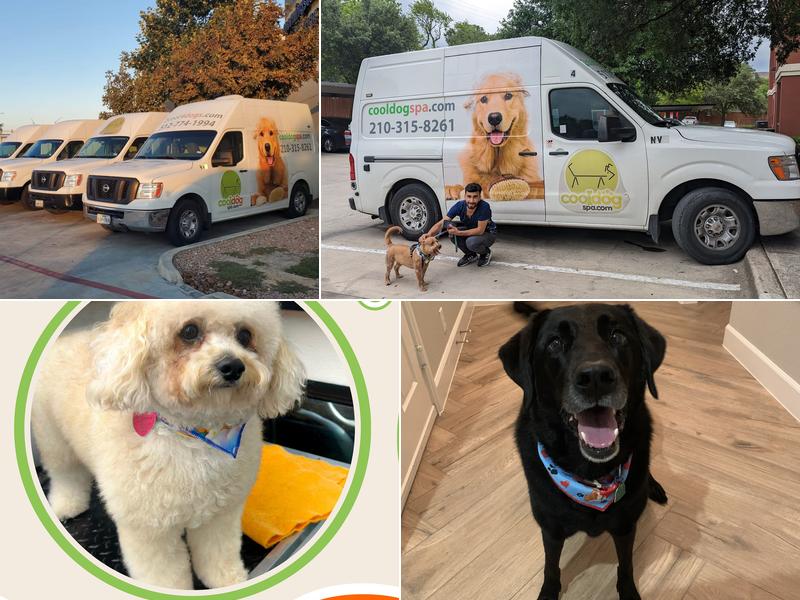 Cool Dog Spa Mobile Pet Grooming