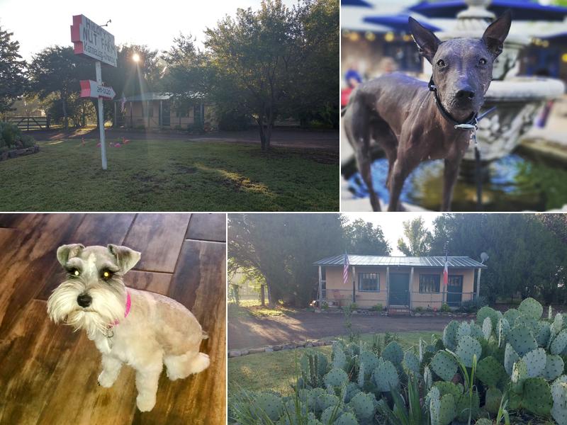 The Nut Farm Kennel & Grooming