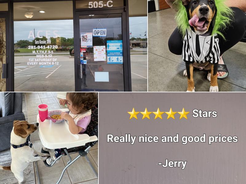 ACES All Creatures Exotic & Small Veterinary Hospital