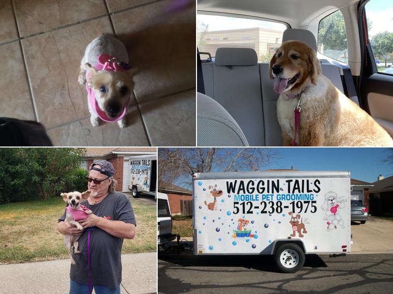 Waggin Tails Mobile Pet Grooming