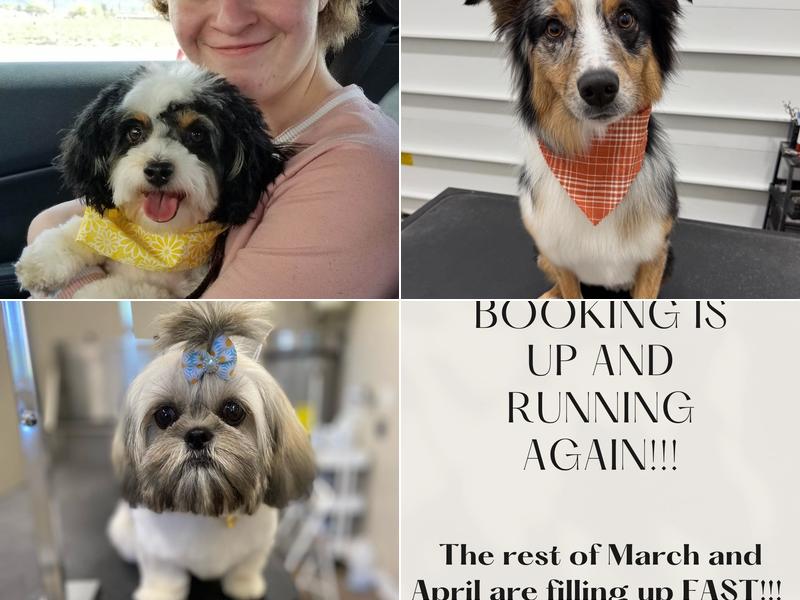 Bark Avenue Dog Grooming