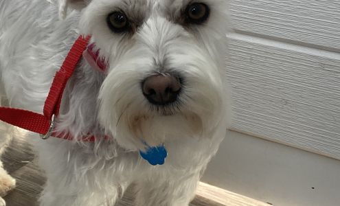 Sudsy Puppy Grantsville