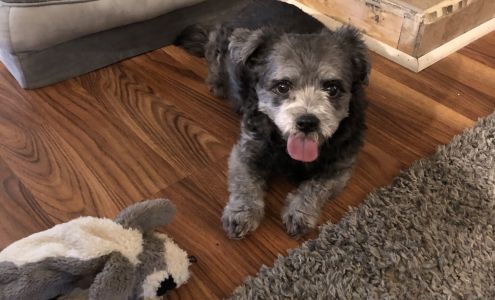 Mix & Match Feed and Grooming 19379 State Rte 715, Beaverdam Virginia 23015