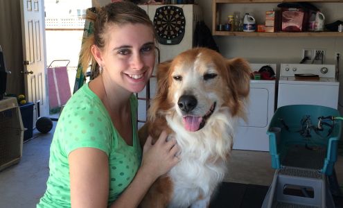 Soiled to Spoiled Animal Grooming 2102 Spirit Lake Hwy, Castle Rock Washington 98611