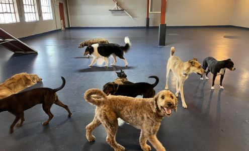 Great Expectations Dog Center