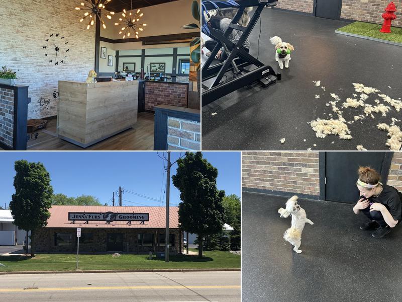 Jenna'Furs Dog Grooming