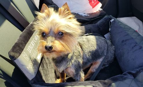 Pawsitive Pets Grooming