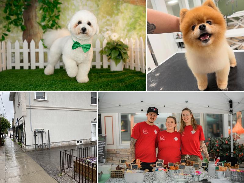 Fairy Tails Newmarket