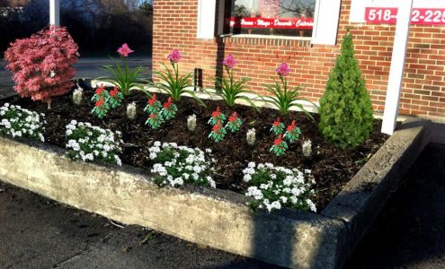 NVS Landscape Services 134 Lincoln Ave Ste 304, Colonie New York 12205