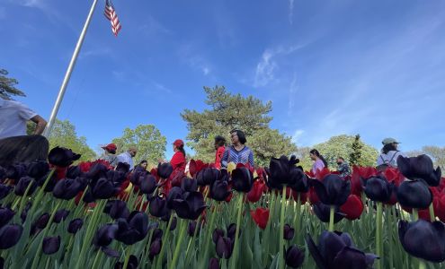 Burch & Son’s Landscaping and Construction