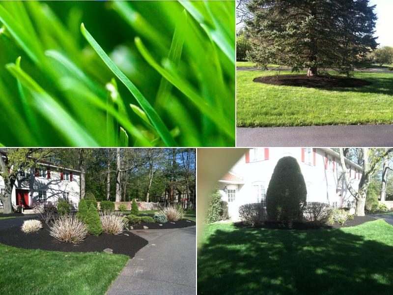 Cleary's Landscape and Lawn Service