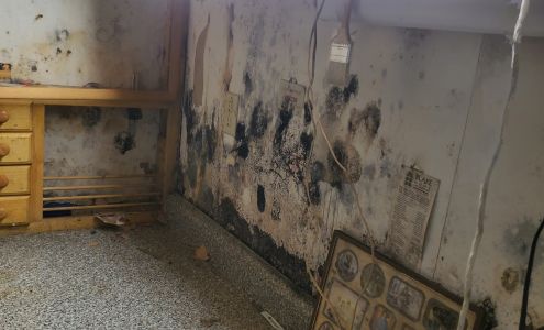 One Stop Mold Inspection Levittown NY