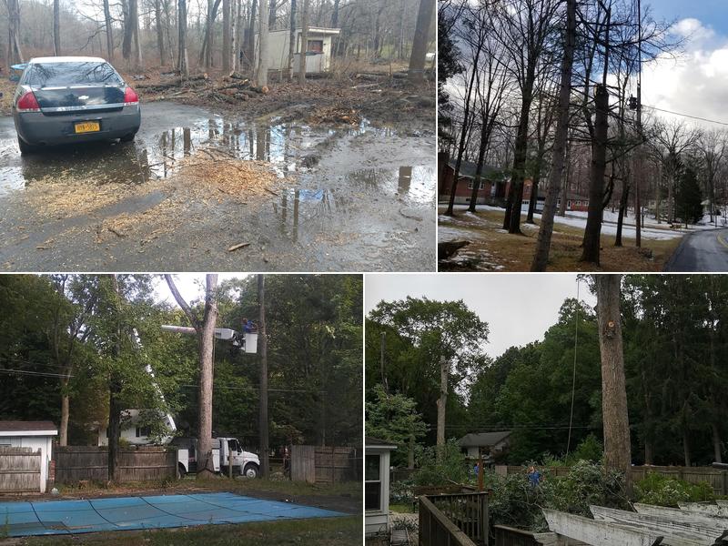 Spittin' timber tree and land services llc