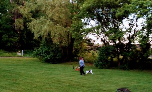 Banners mowing service